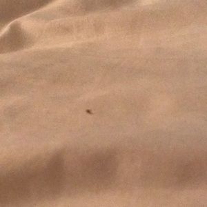 Meet your Posher, Edward